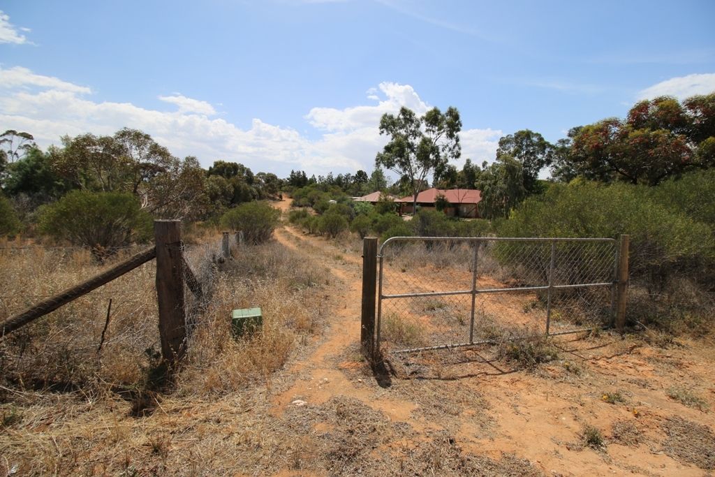 Lot 48 Bookpurnong Road, Loxton SA 5333, Image 2