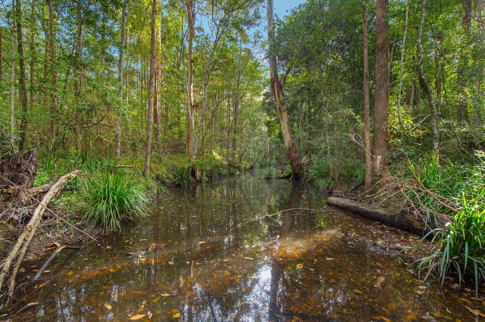 2450 Oxley Highway, Wauchope NSW 2446 House for Sale Domain