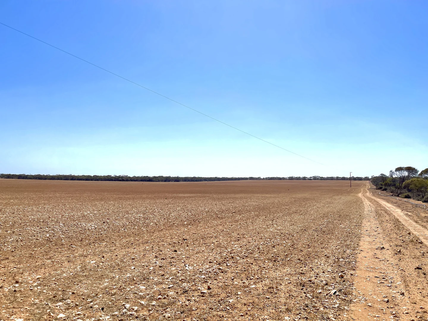 Image 19