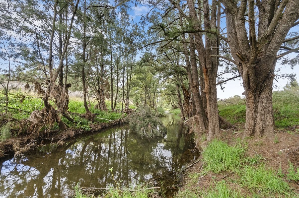 366 Wallabadah Road, Wallabadah NSW 2343 Domain