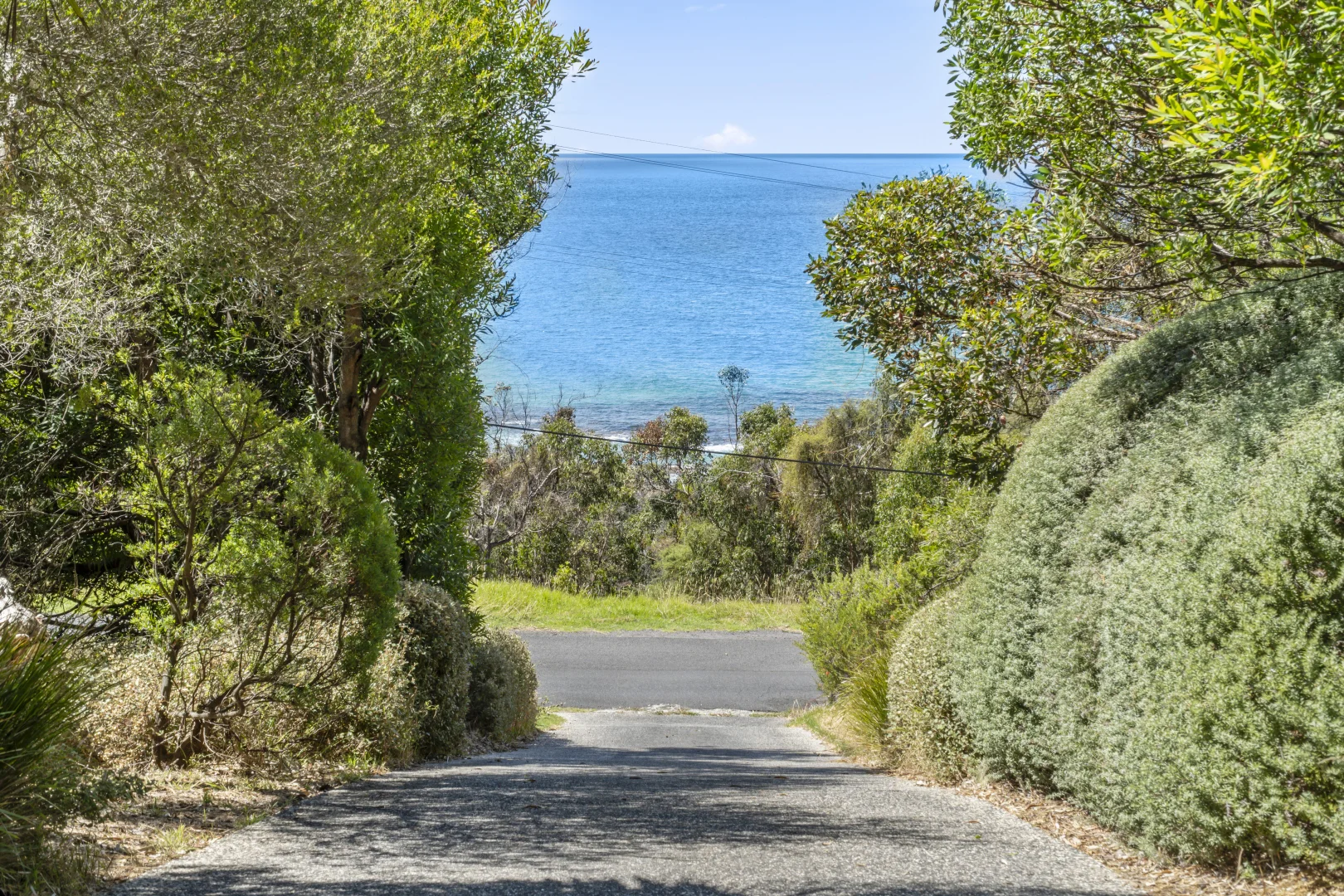 Image 14