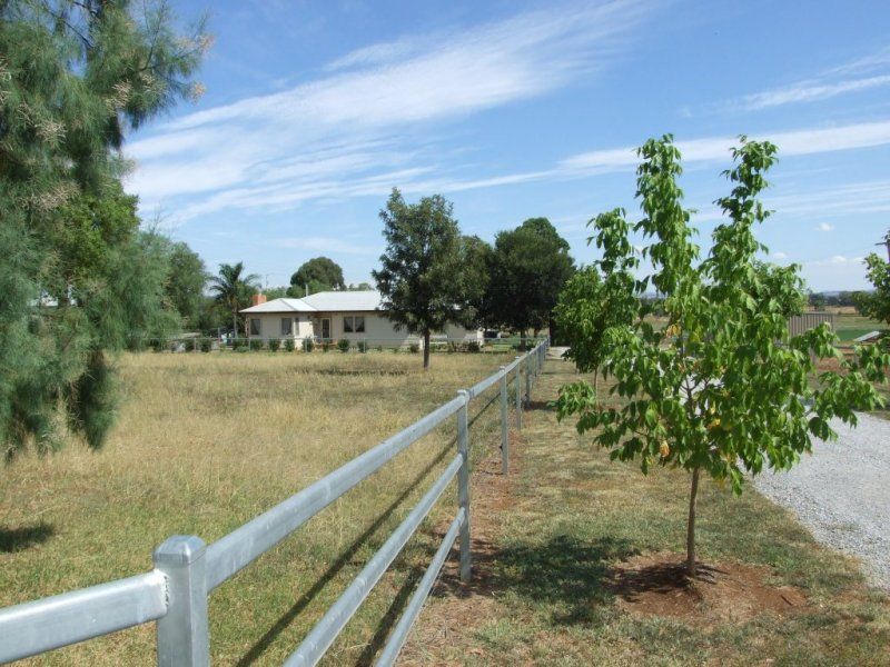 384 Nundle Road, Nemingha NSW 2340, Image 1