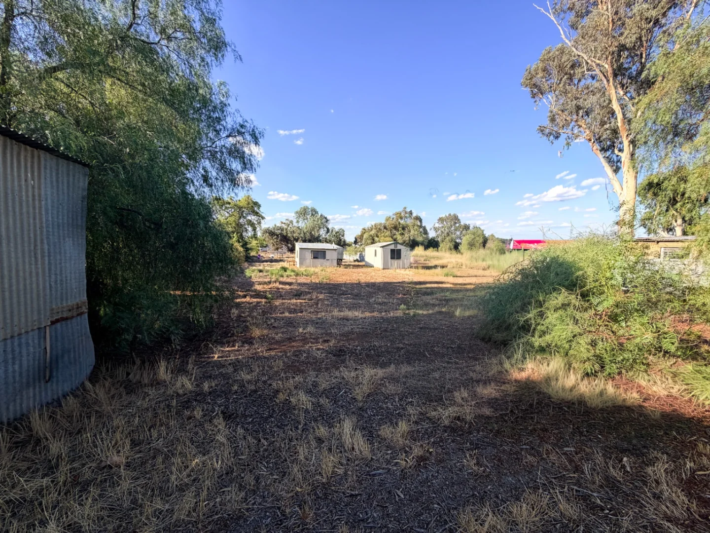 Image 14