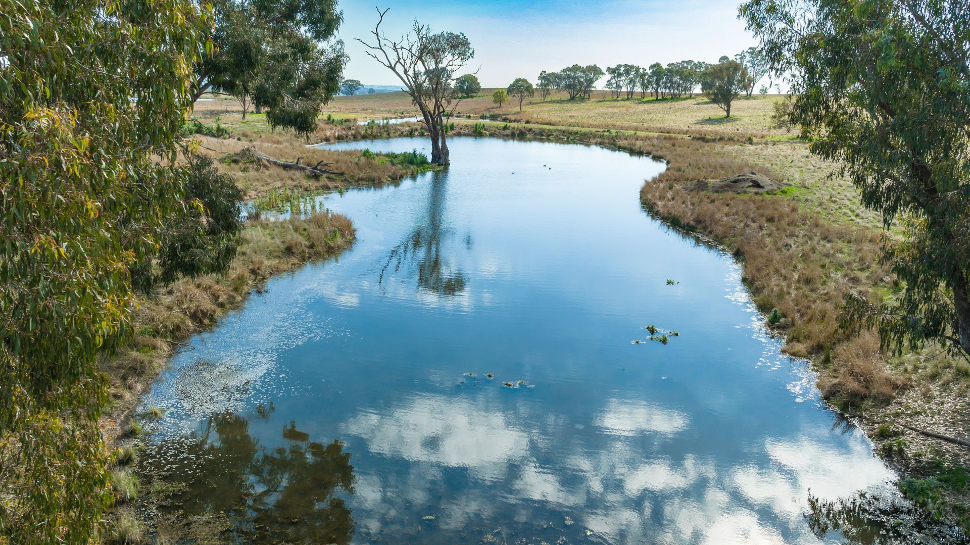 'Part Glenmoira'/524 Munyaplah Settlement Rd, Alma Park NSW 2659, Image 1