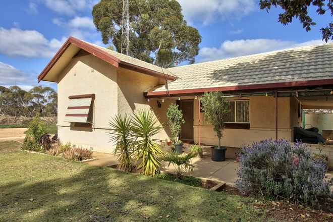 Picture of 314 Old Sturt Highway, GLOSSOP SA 5344