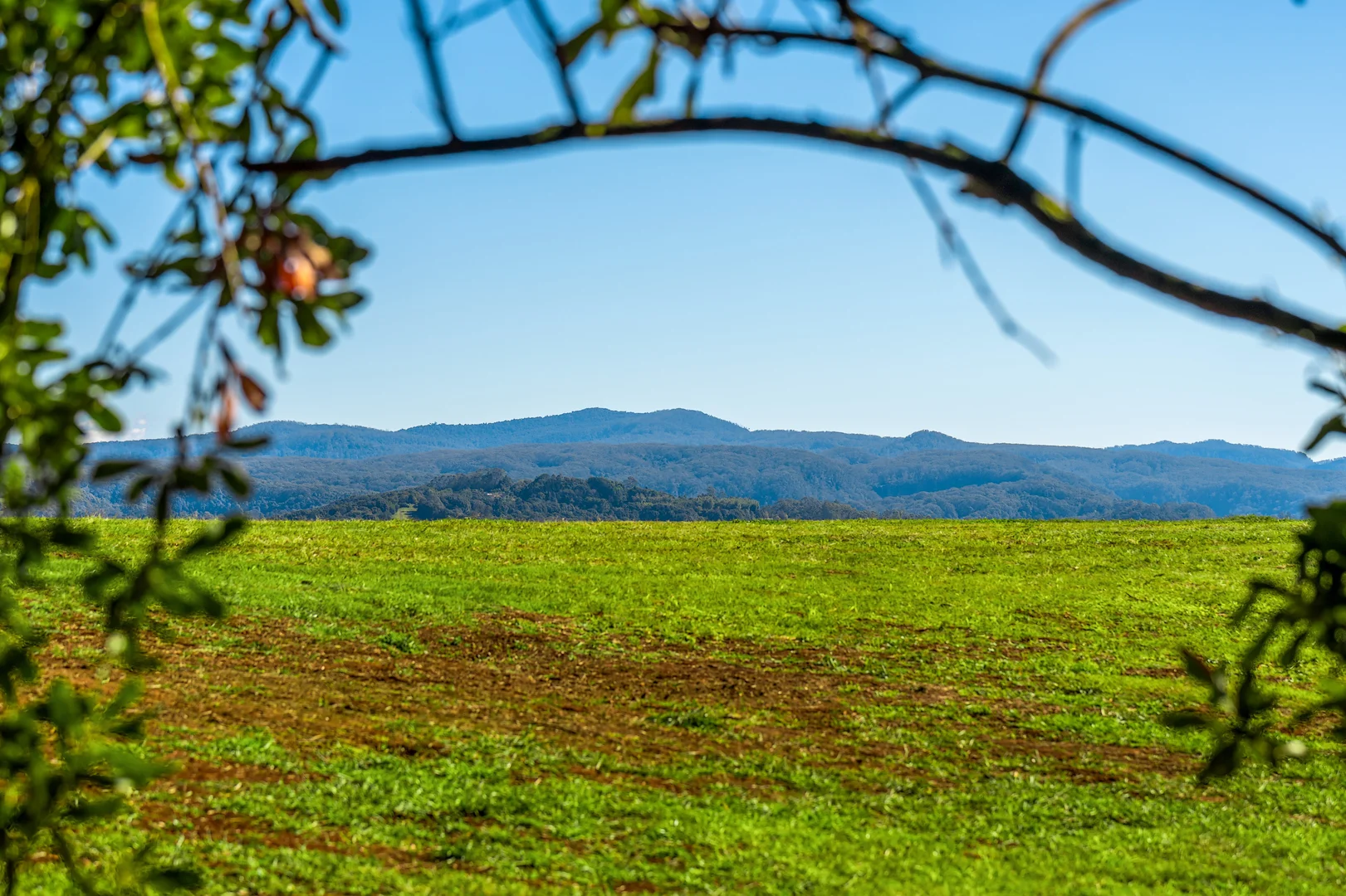 Additional image 11 of 34 Bencluna Lane, Eureka NSW 2480