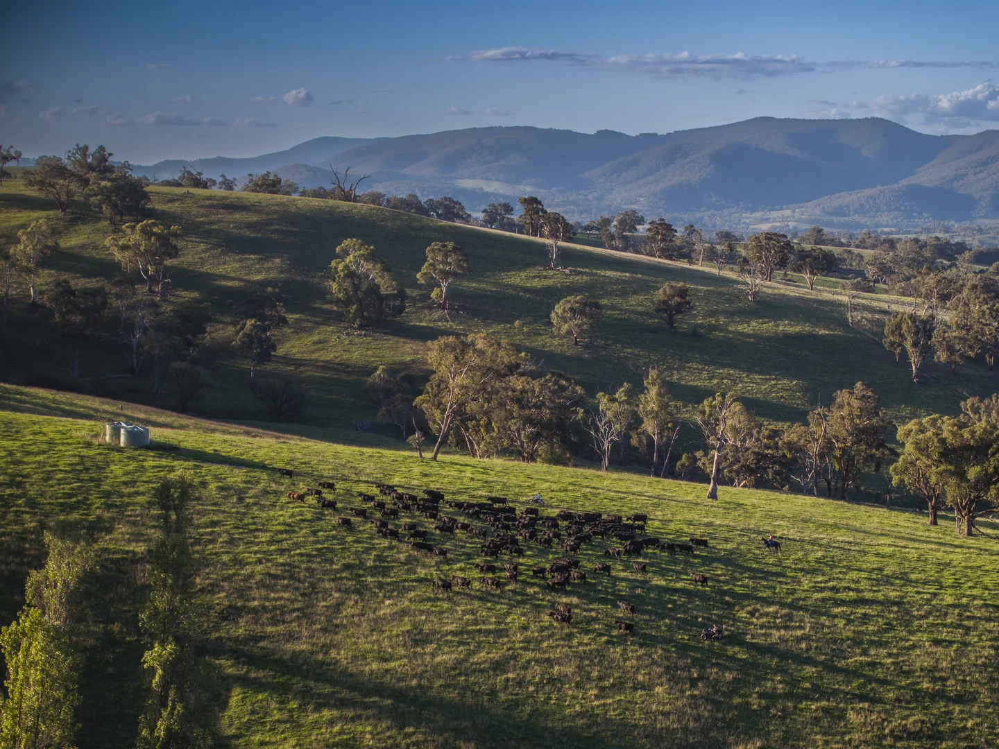 Additional image 30 of Tarana NSW 2787