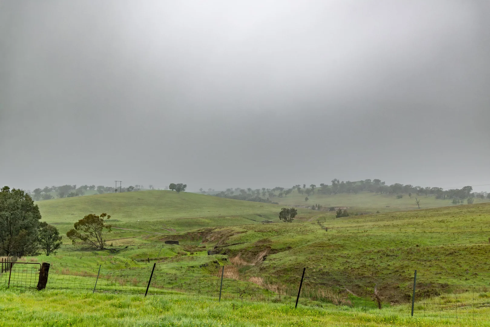 Image 18