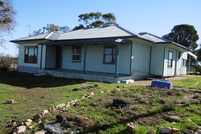 Picture of 109 Heffernan Road, CALTOWIE WEST SA 5490