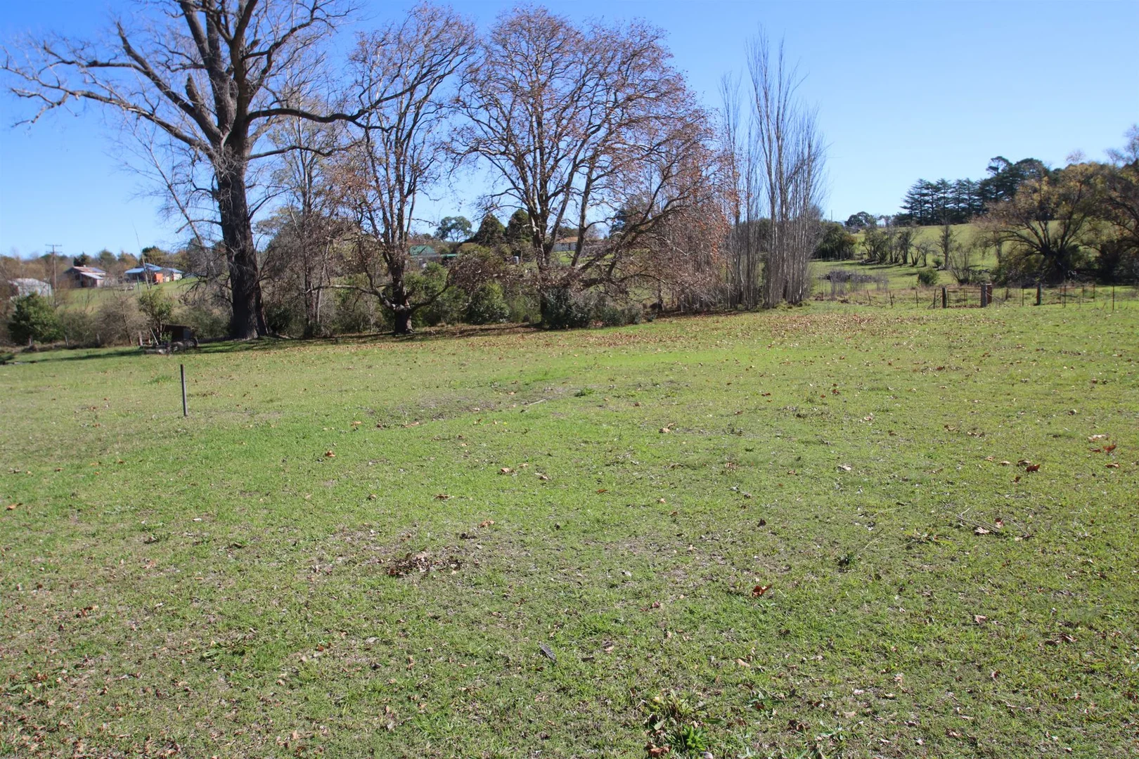 Image 36