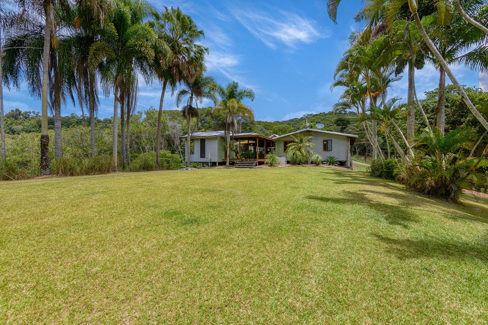 1605 Mossman Mount Molloy Rd, Julatten QLD 4871 House for Sale