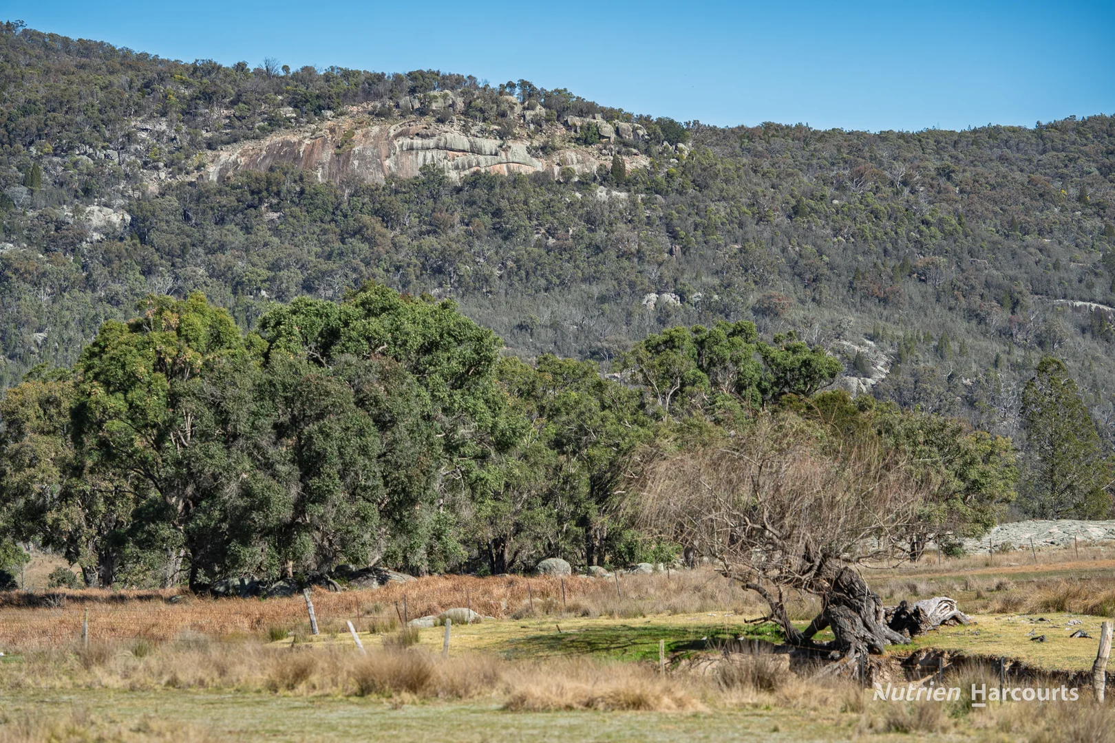 Additional image 38 of Rocky Glen Road, Kingstown NSW 2358