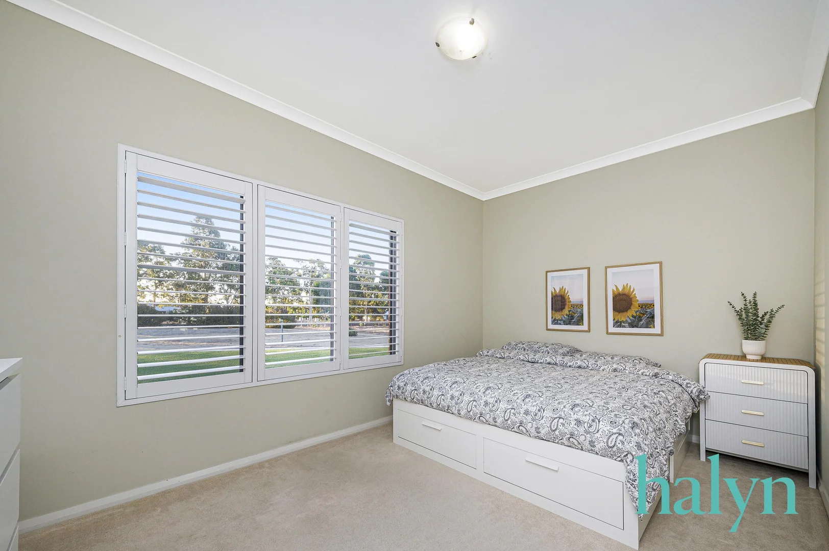Image 16