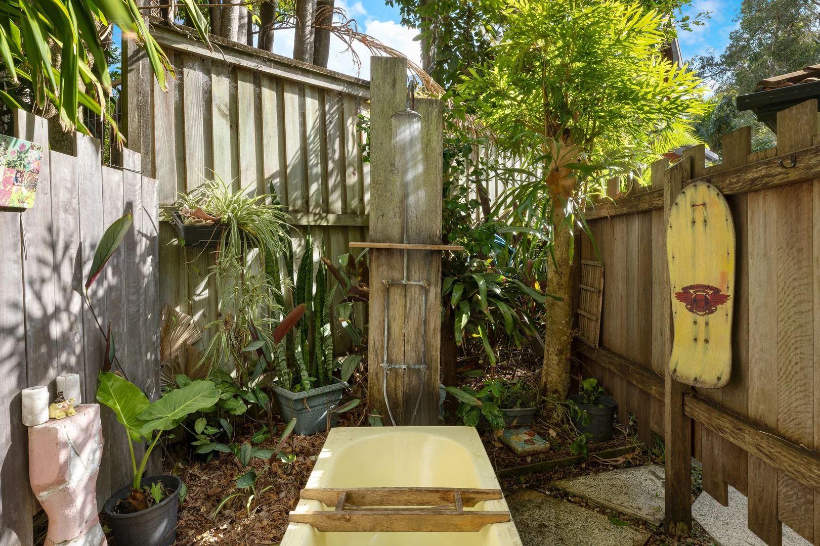Image 19