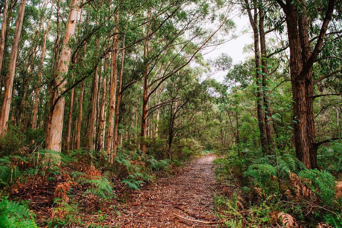 Additional image 14 of 700/102 Drummond Road, Forest Grove WA 6286