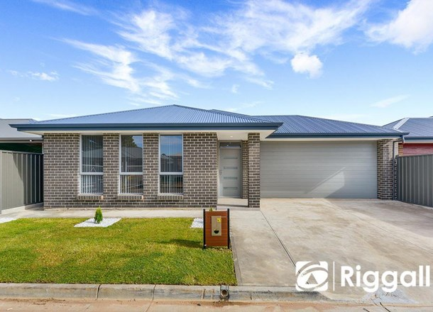 41 Sheffield Crescent, Blair Athol SA 5084