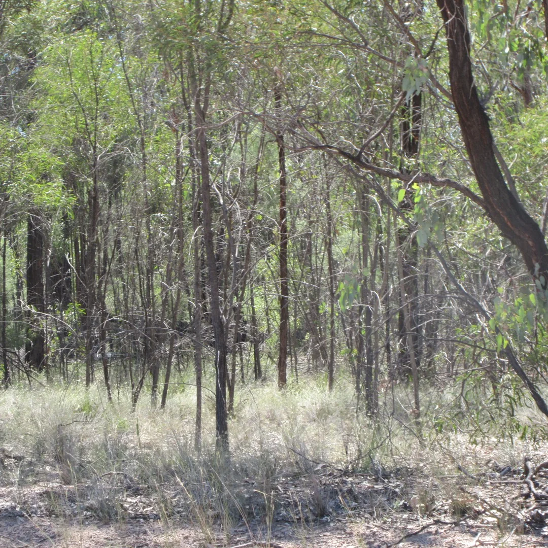 Lot 160 Lucky Road, Tara QLD 4421