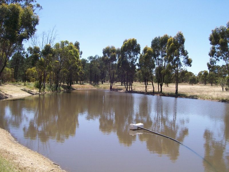 "GREEN HILLS", Berrigan NSW 2712, Image 1