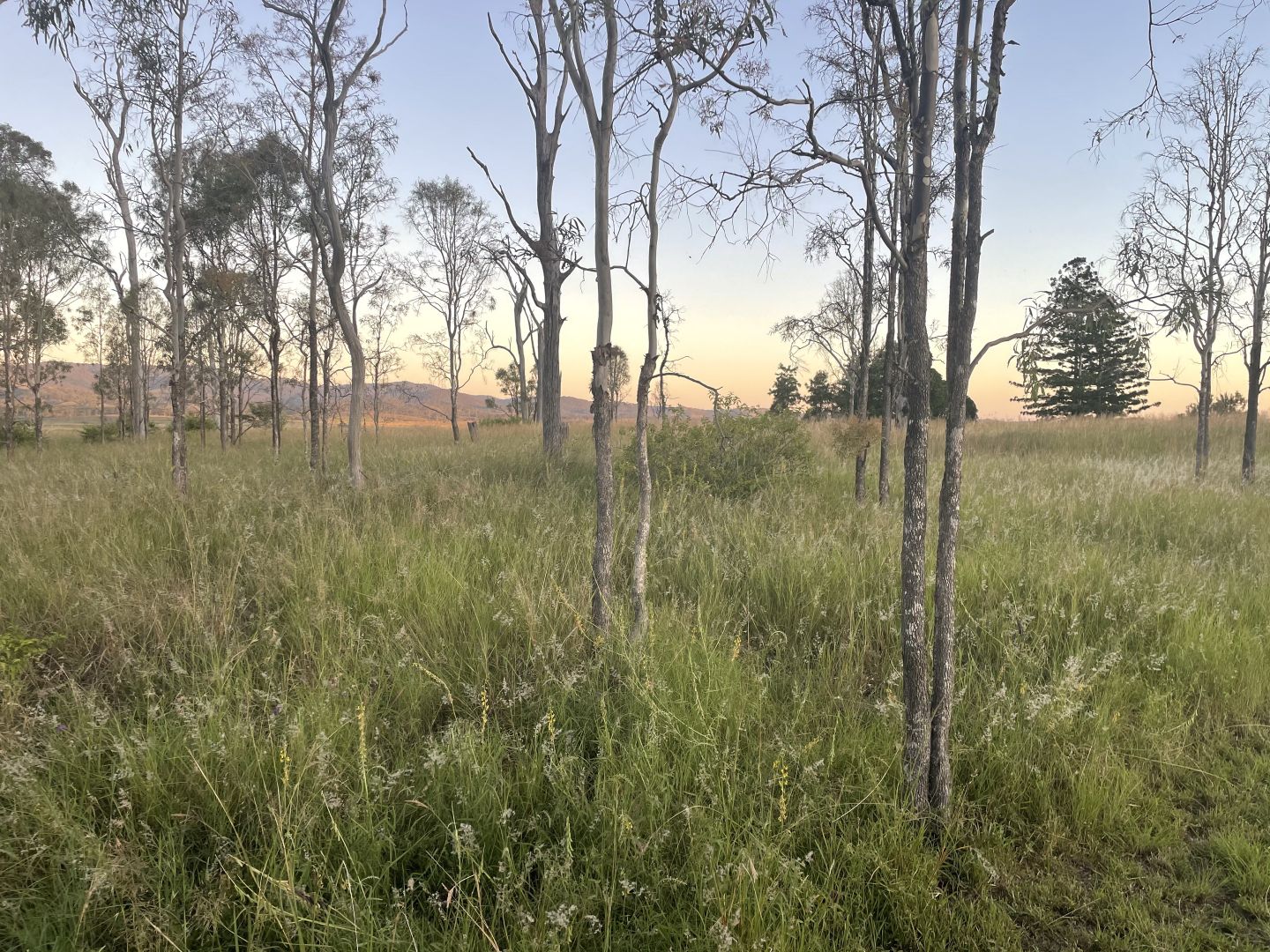 Lot 185 Wivenhoe Somerset Road, Bryden QLD 4312, Image 2