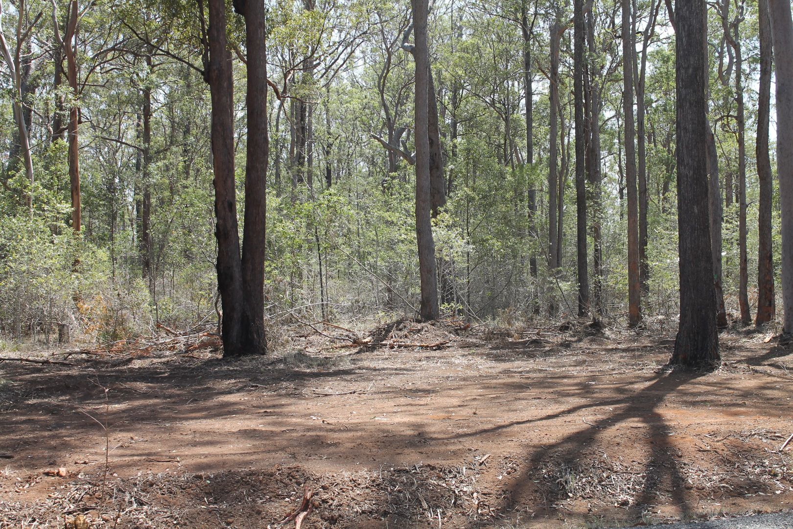 Lot 22 PACKER ROAD, Blackbutt North QLD 4314, Image 2