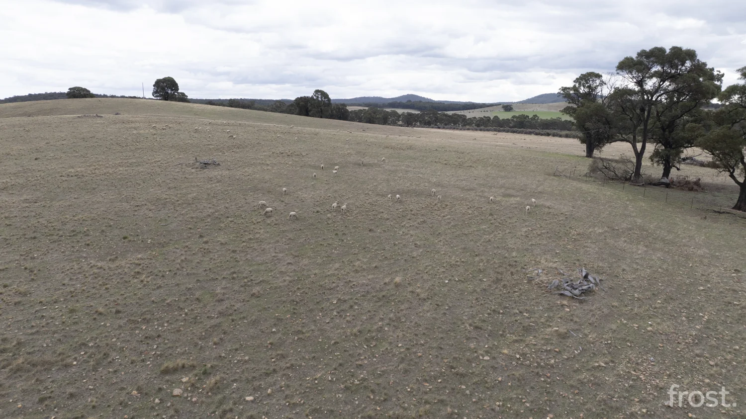 Image 52