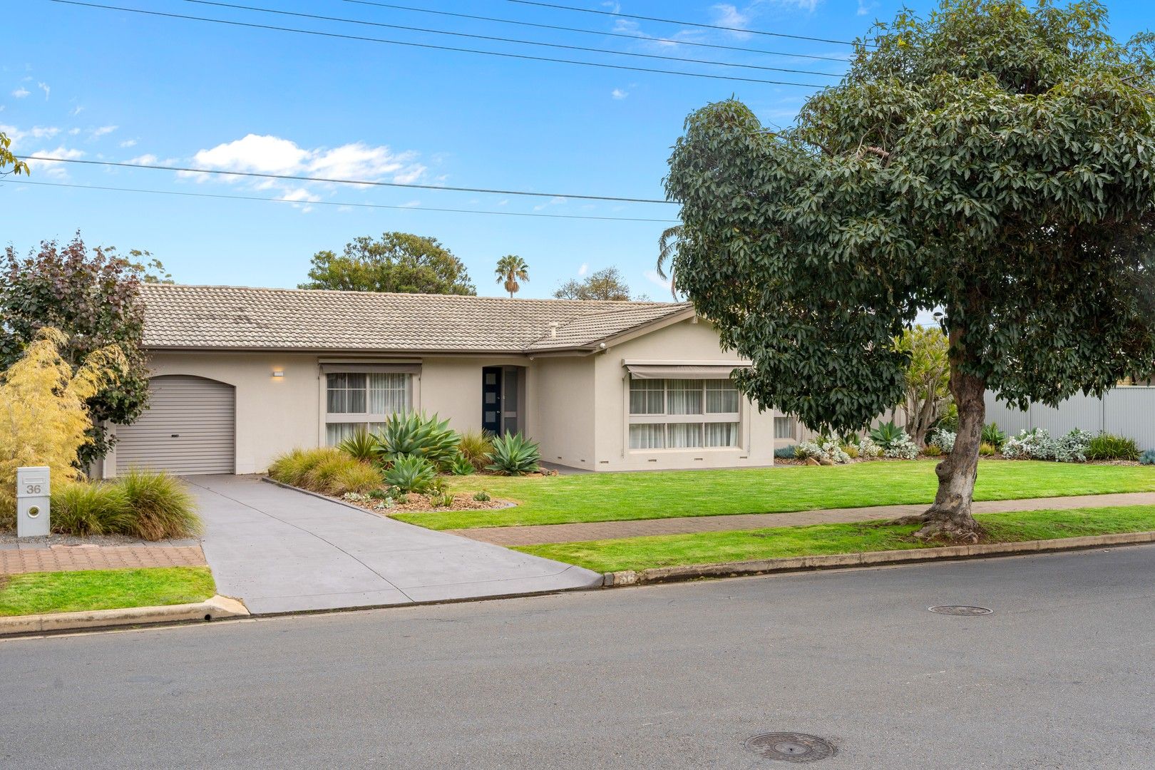 4 bedrooms House in 36 MacArthur Avenue NORTH BRIGHTON SA, 5048