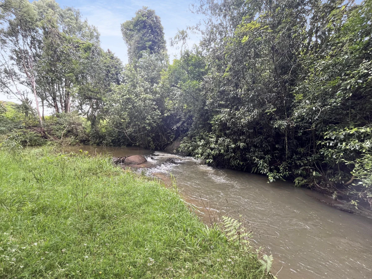 Image 15