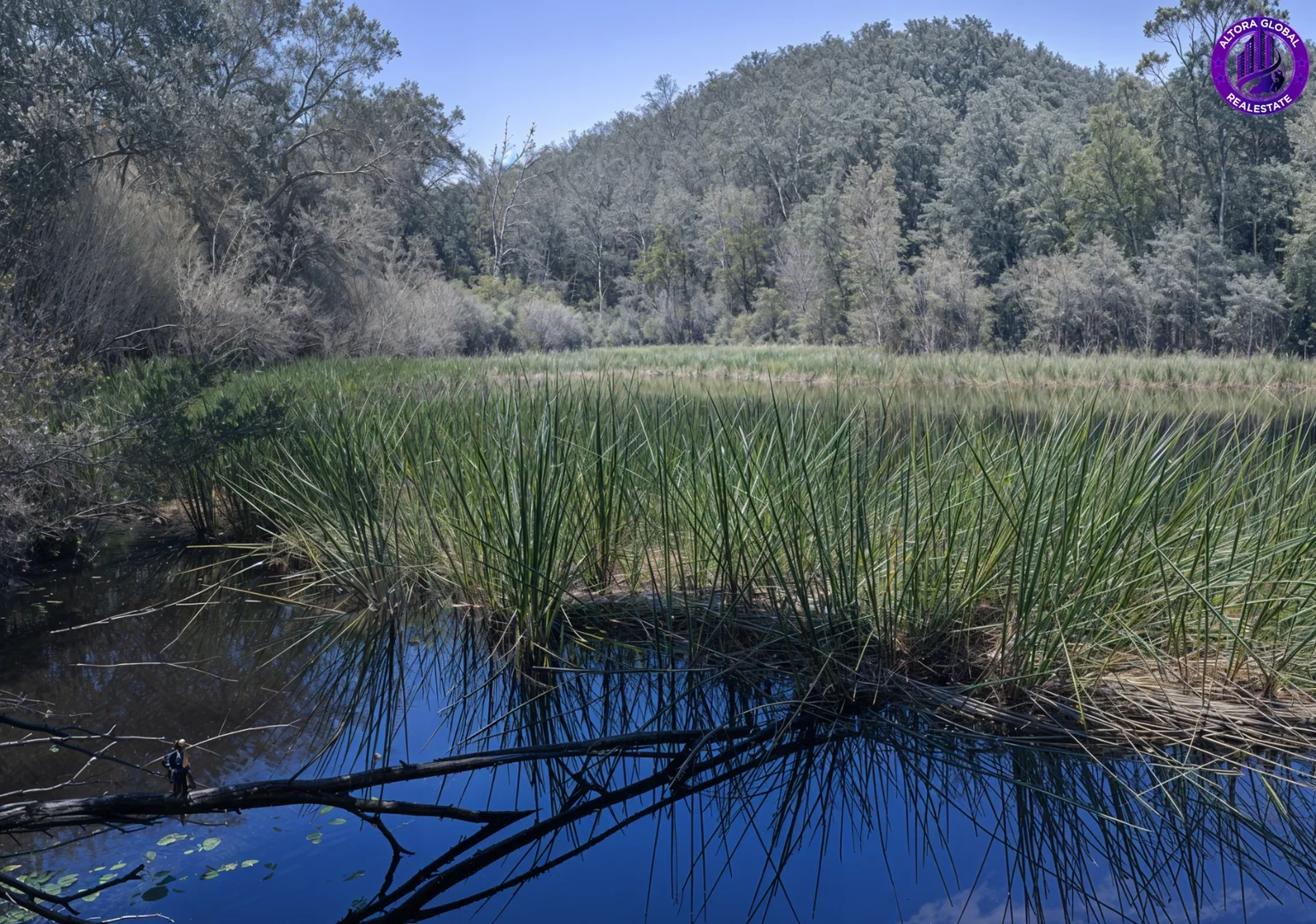 Image 14