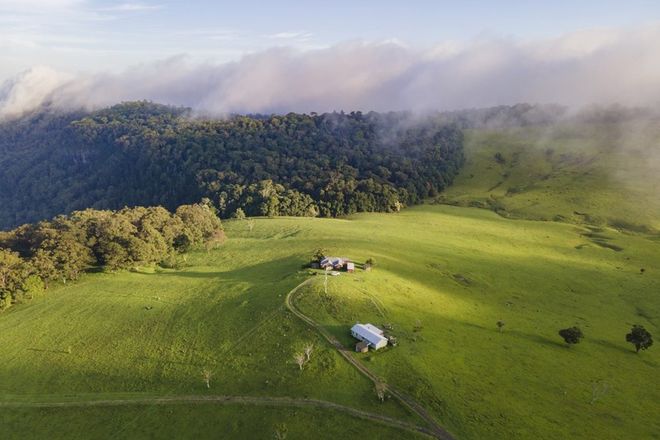 Picture of 3436 Lamington National Park Road, O'REILLY QLD 4275