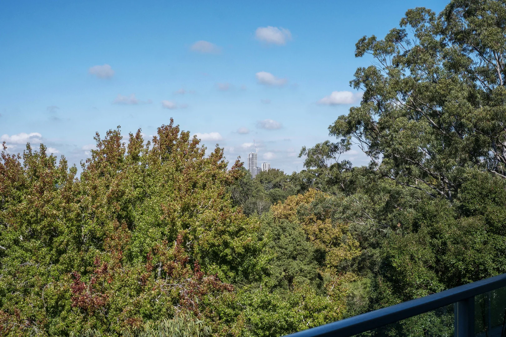 Additional image 9 of A409/17-23 Merriwa Street, Gordon NSW 2072