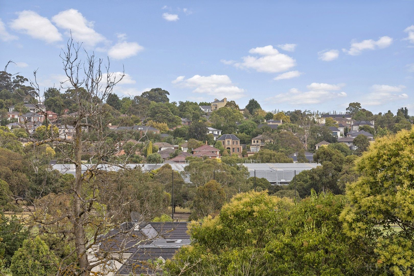 58 Hosken Street, Balwyn North VIC 3104 | Domain