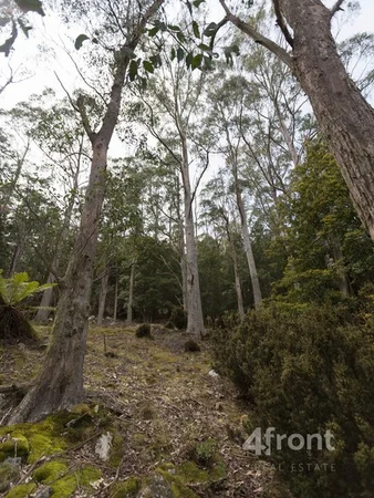 Image 22
