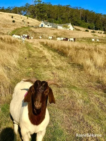 Additional image 28 of 292 Fire Tower Road, Koonya TAS 7187