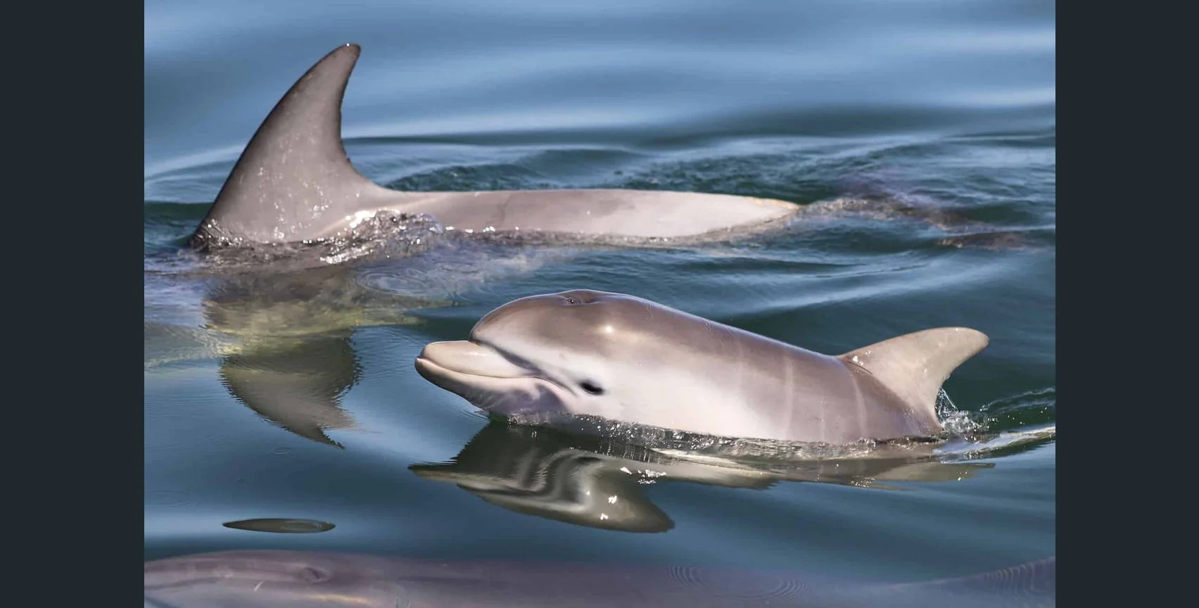 Additional image 31 of Dawesville WA 6211