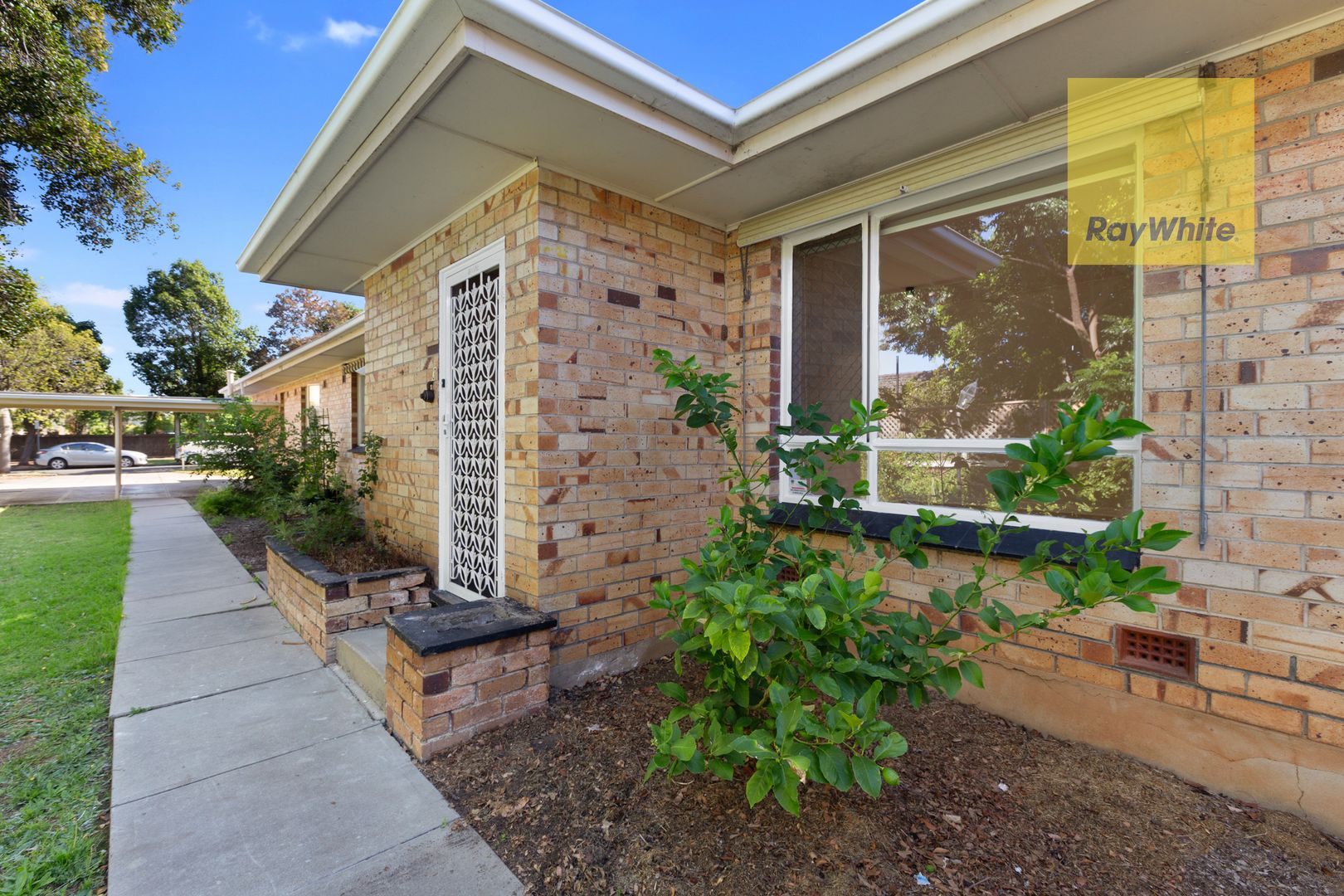 3/124 Hewitt Ave, Toorak Gardens SA 5065 House For Rent Domain