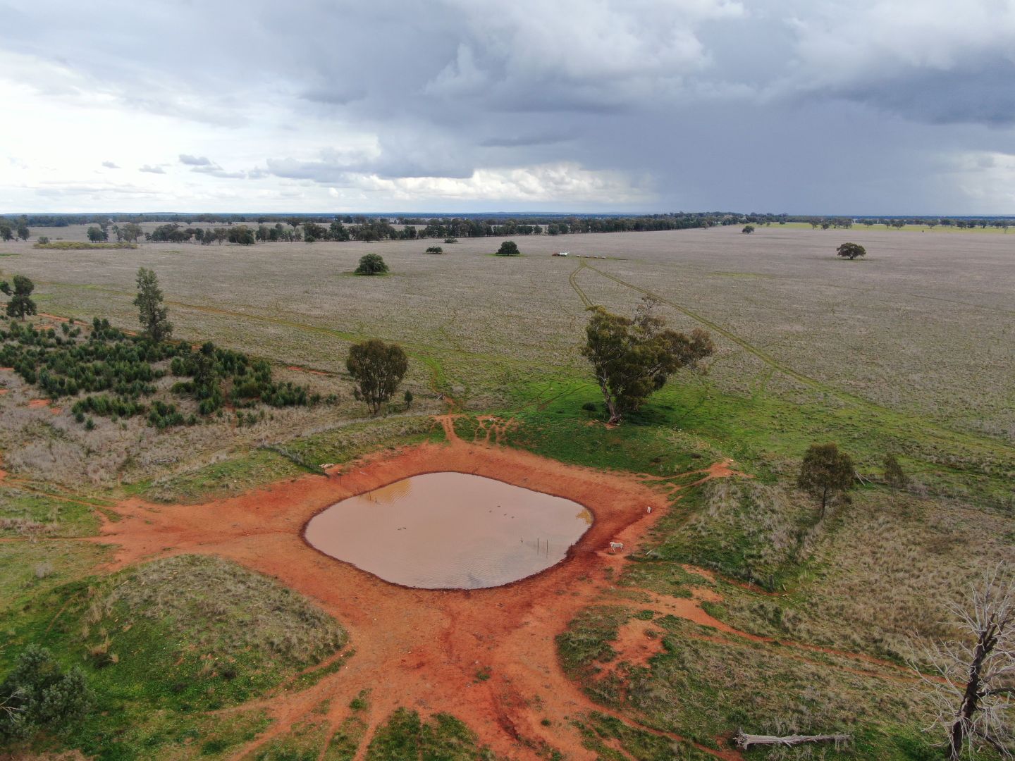 'The Ranch', 2275 Grassmere Road, Condobolin NSW 2877 Specialist Farm