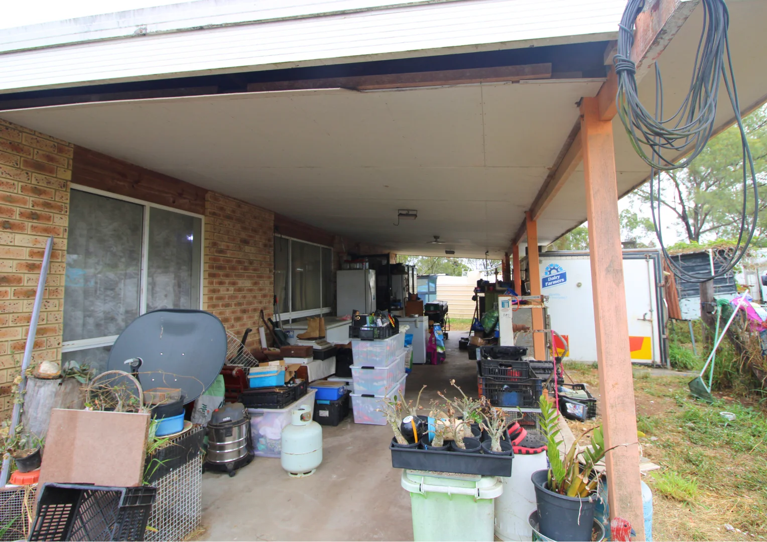 Image 13