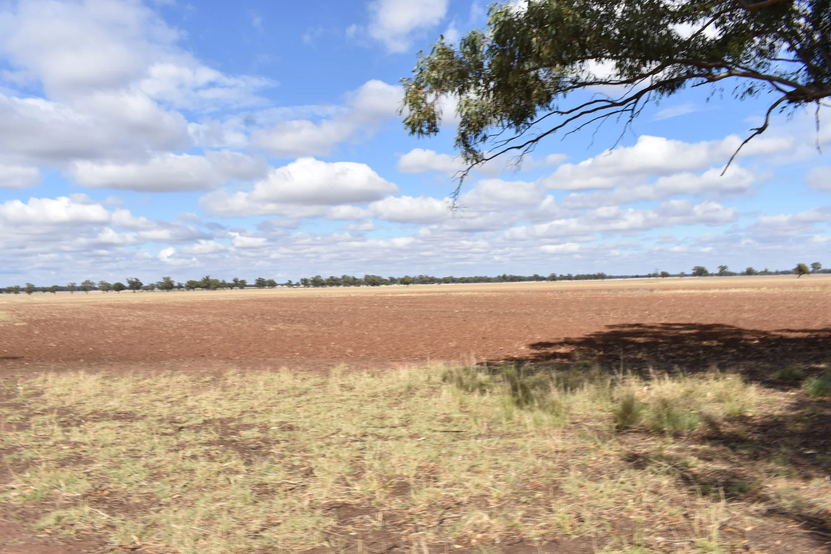 Image 13