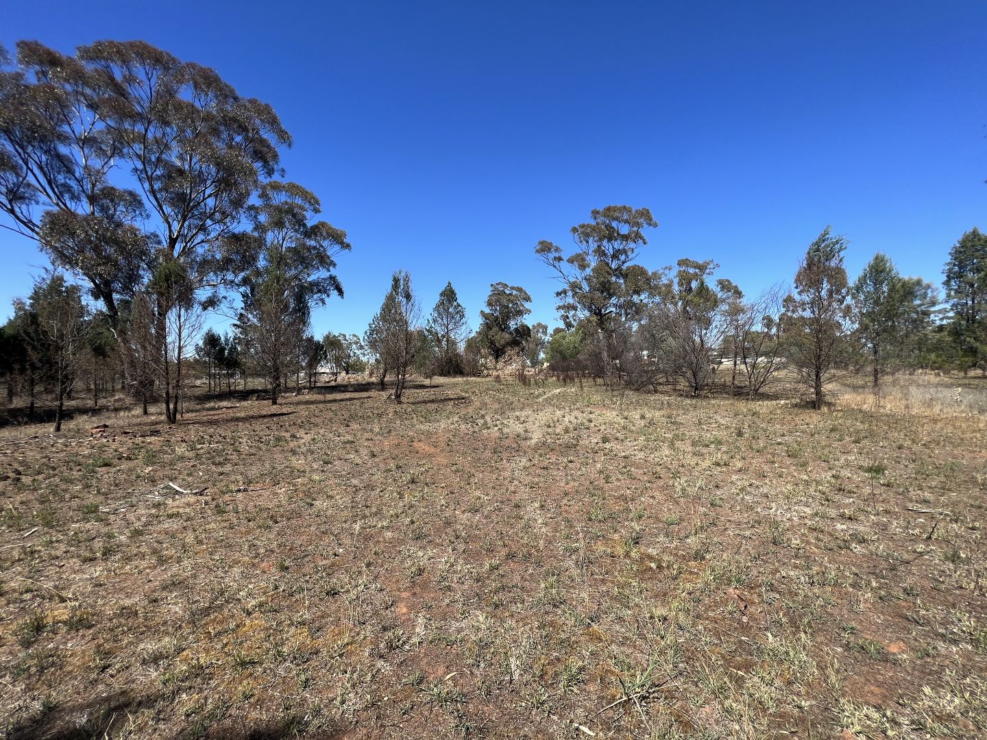 Lot 14 Jackson Street, Bogan Gate NSW 2876, Image 2