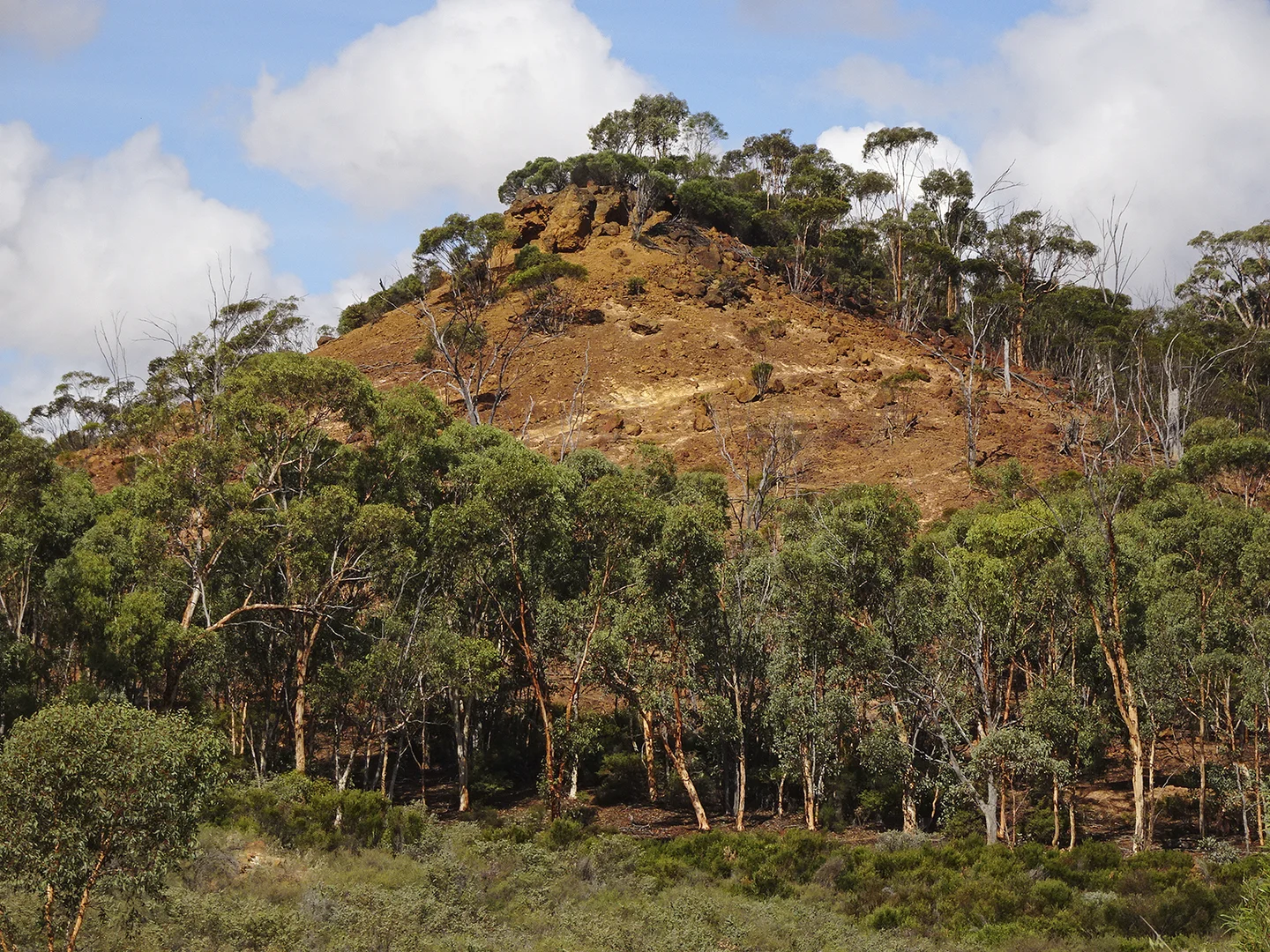 Image 16