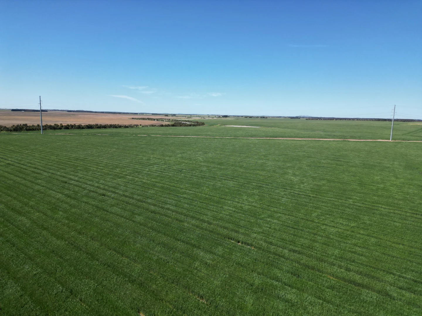 Additional image 7 of Woorndoo-Darlington Road, Woorndoo VIC 3272