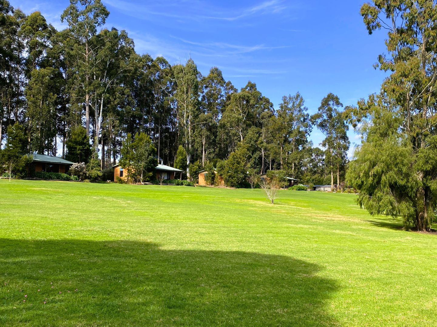 192 Browns Road, Pemberton WA 6260 Domain