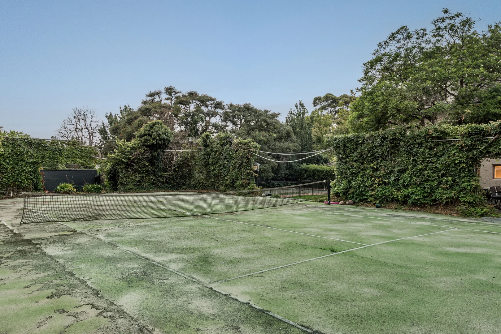 Image 15