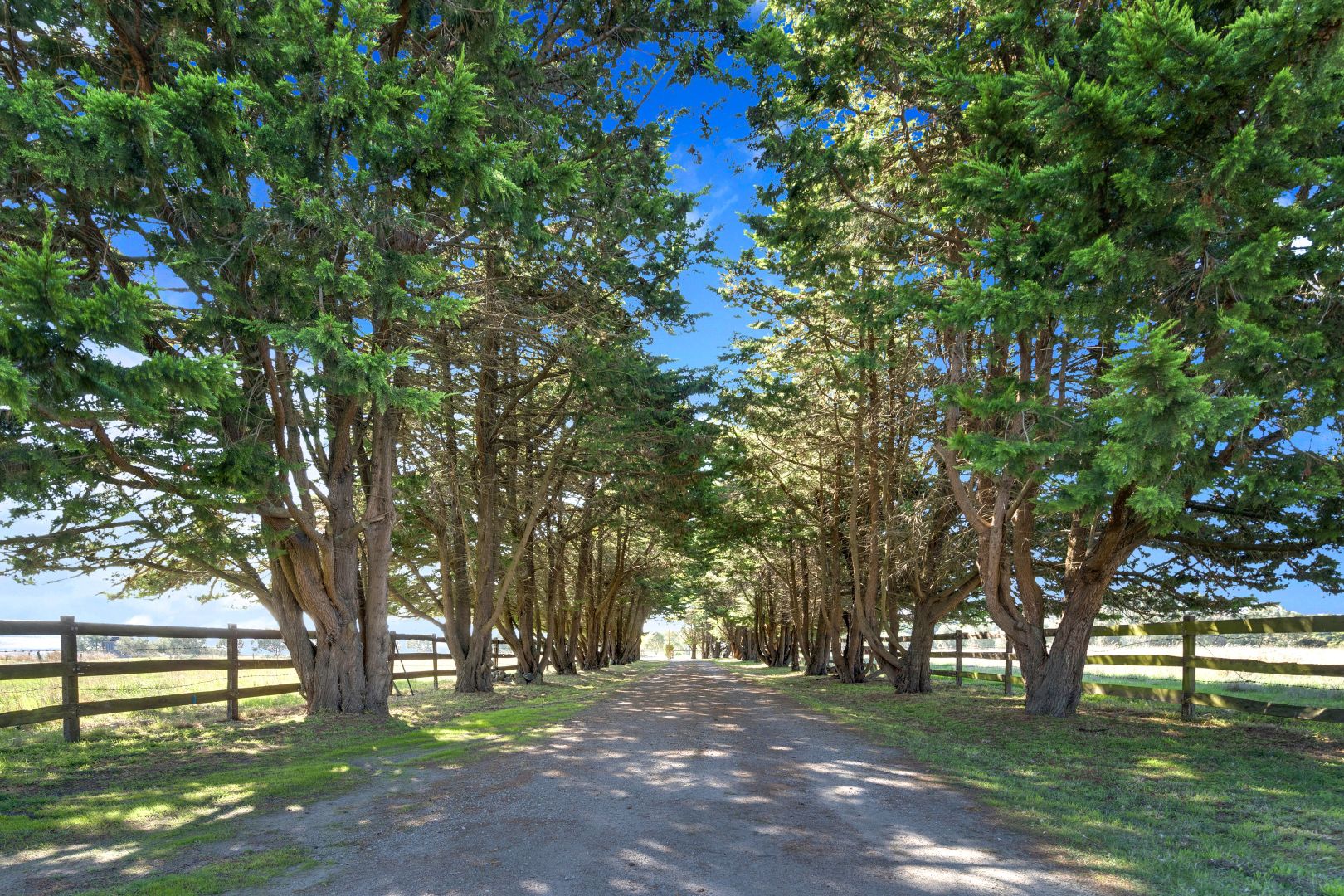 55 Bardwell Drive, Mickleham VIC 3064 House for Sale Domain