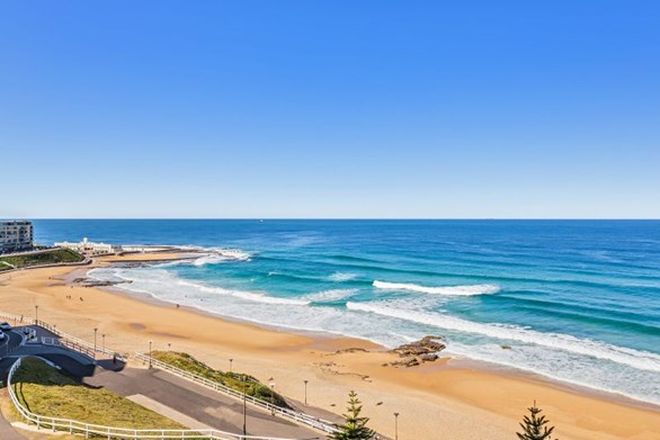169 Rental Properties In Newcastle Nsw 2300 Domain