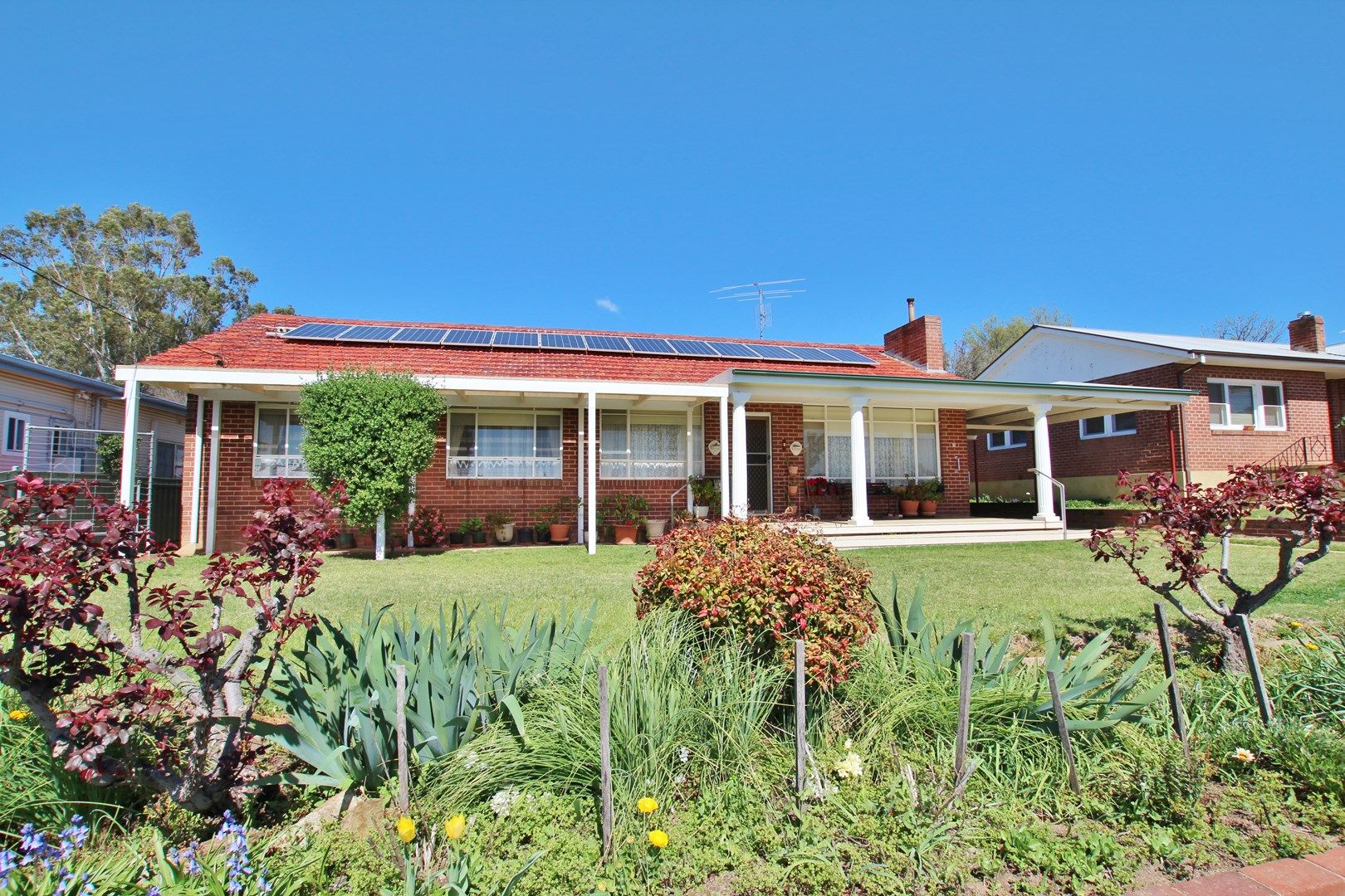 50 Binalong Street, Harden NSW 2587, Image 0