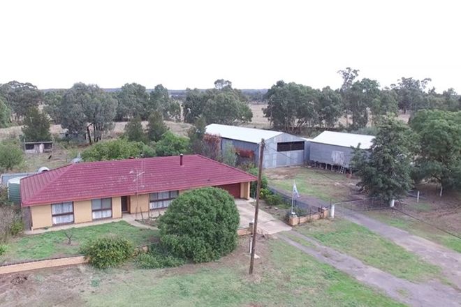 Picture of 1822 INGLEWOOD - RHEOLA ROAD, RHEOLA VIC 3517