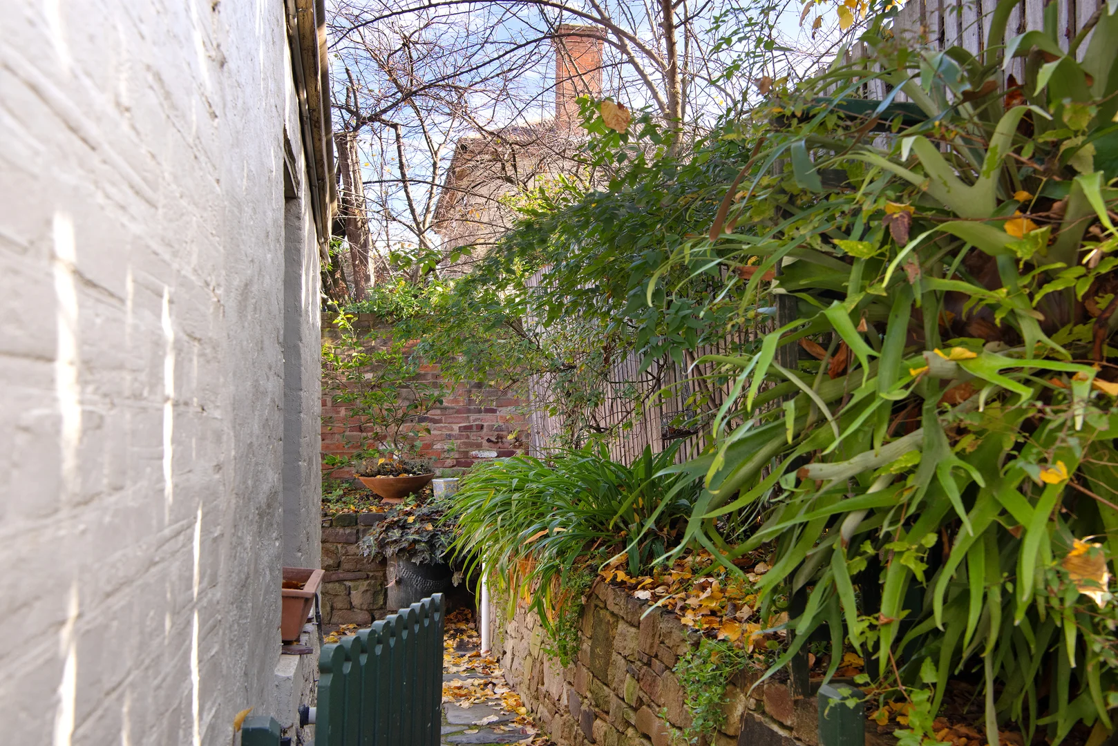 Image 14