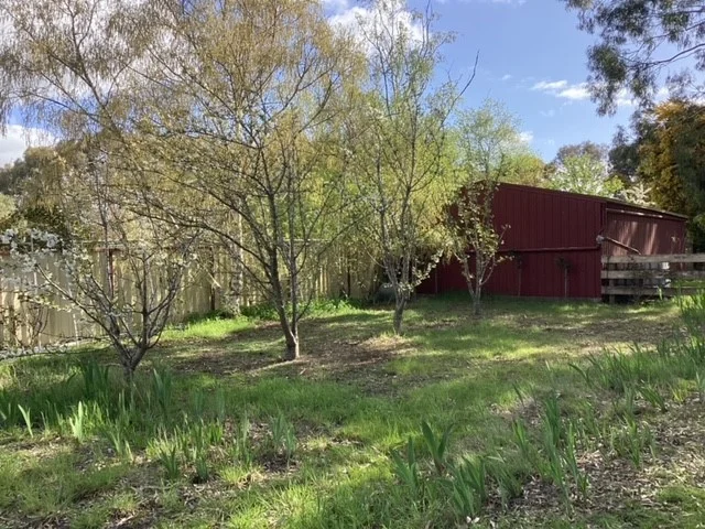 Image 23
