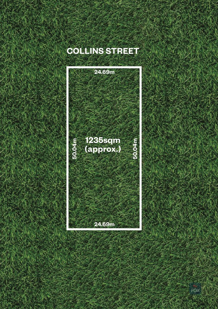 11 Collins Street, Collinswood SA 5081, Image 1
